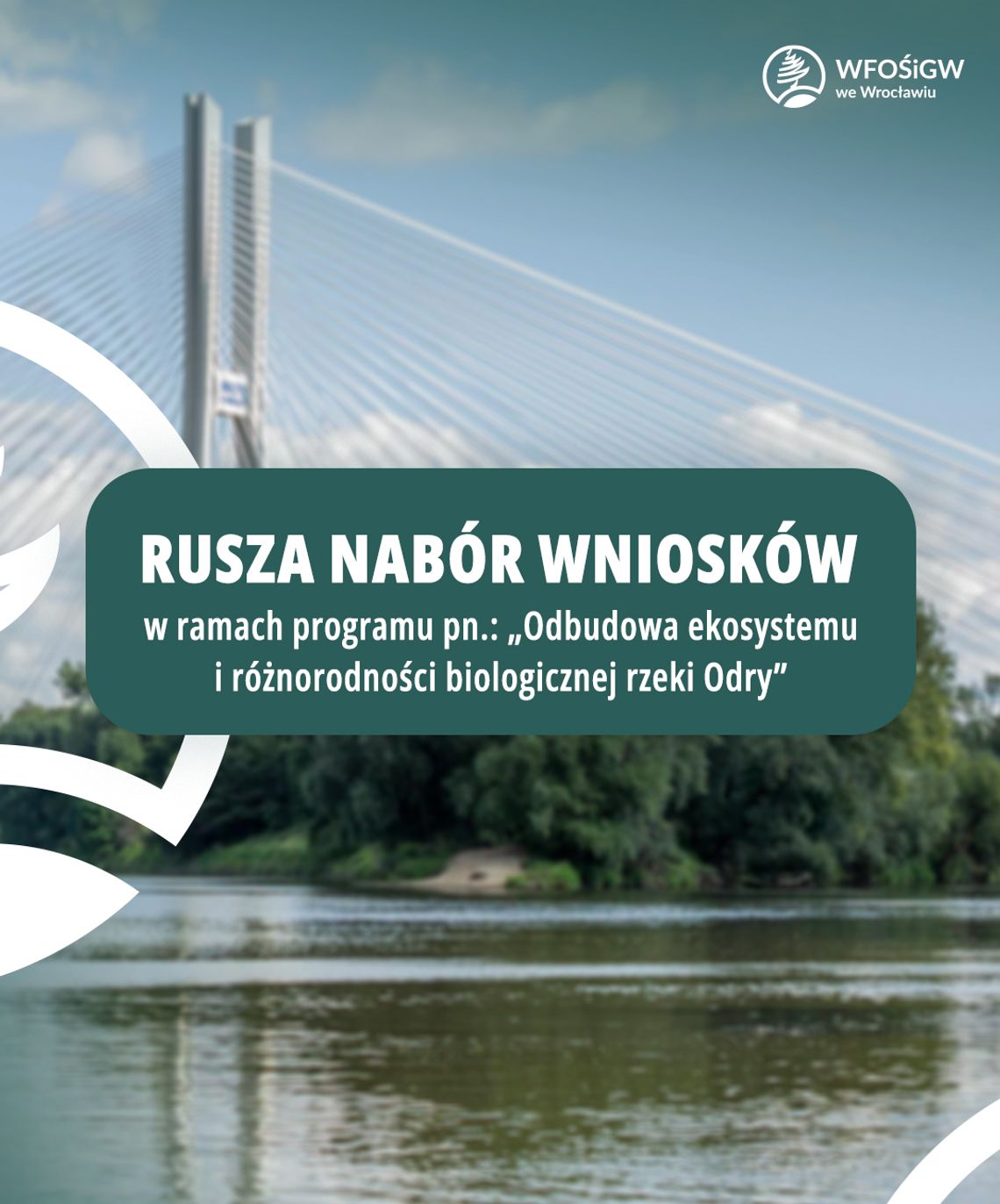 Dofinansowania na odbudowę ekosystemu Odry. WFOŚiGW we Wrocławiu z nowym programem