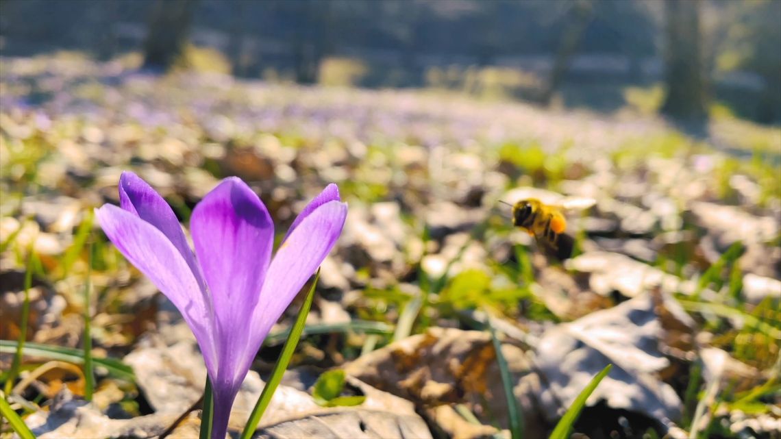 Dolny Śląsk - środki na rolnictwo i ochronę środowiska