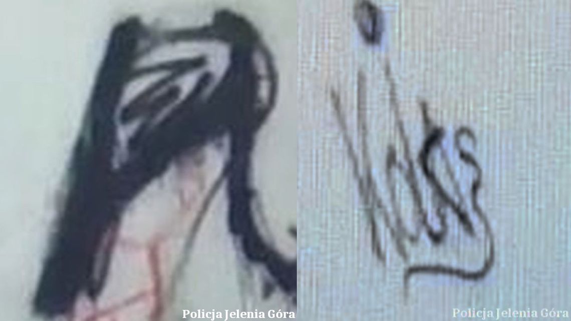 Dwie nieletnie odpowiedzą za "graffiti"