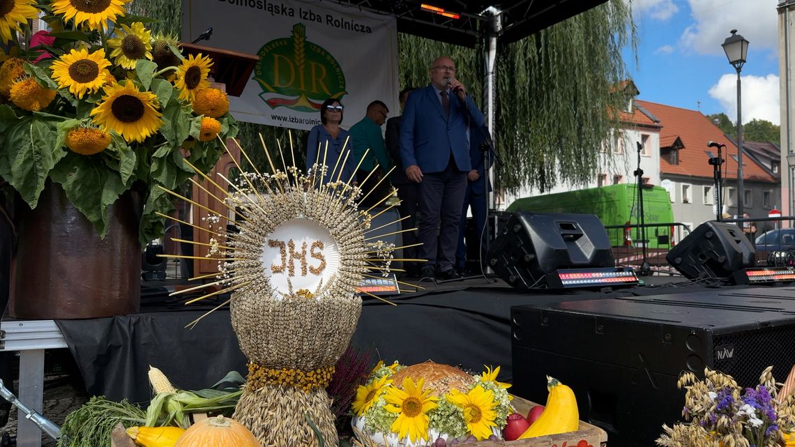 Działo się na Święcie Plonów we Wleniu!