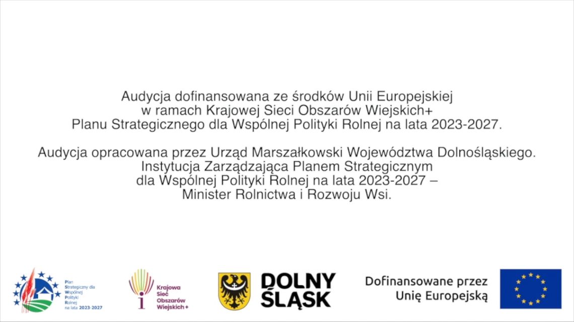 „Fundusz sołecki - najlepsza inicjatywa” - prezentujemy laureatów II i III miejsca