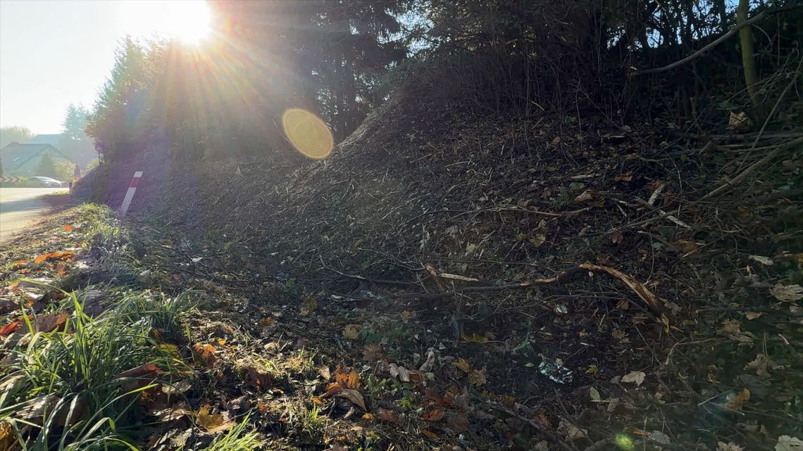 ℹ️W naszym regionie trwają prace związane z wycinką smosiejek porastających między innymi pobocza ℹ️W naszym regionie trwają prace związane z wycinką smosiejek porastających między innymi pobocza