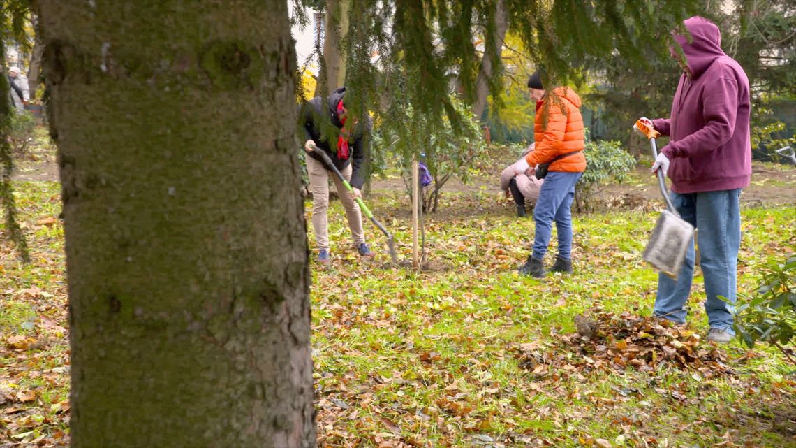 "Moje domowe arboretum"