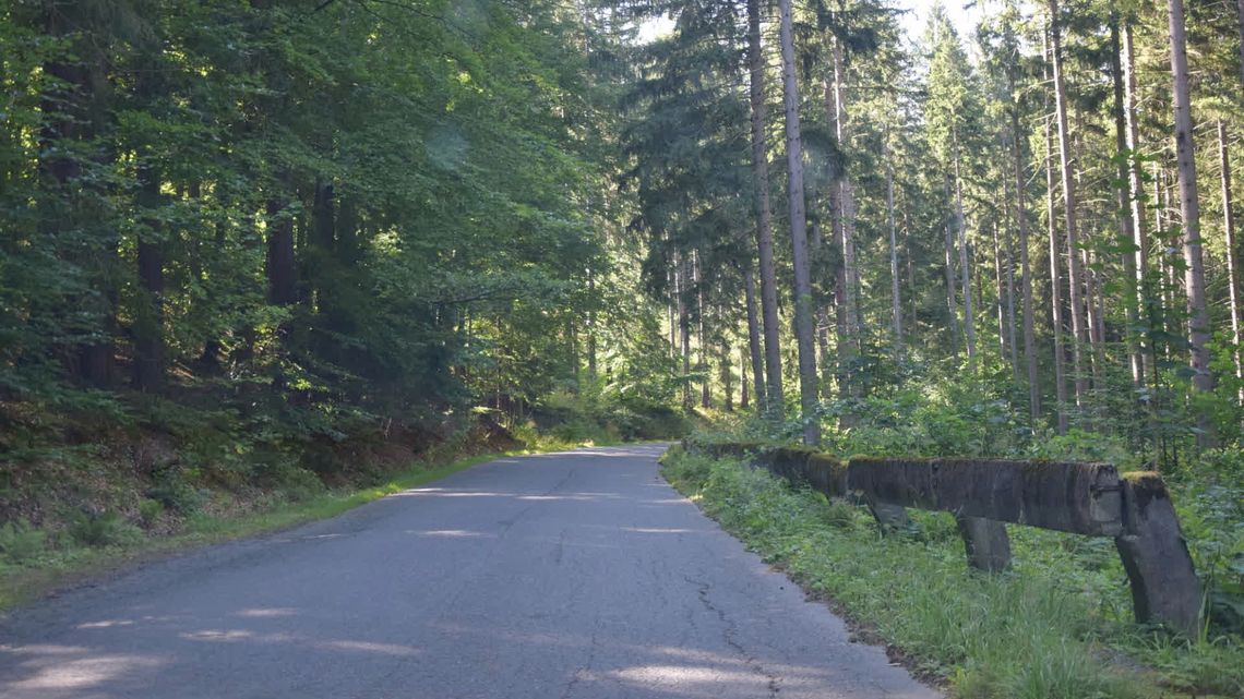 Niebawem ruszy przebudowa drogi powiatowej Podgórzyn-Borowice-Sosnówka!