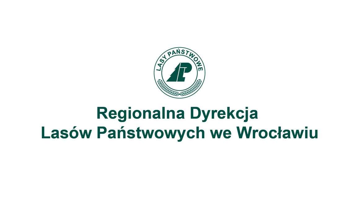 Odwołano dyrektora Regionalnej Dyrekcji Lasów Państwowych we Wrocławiu