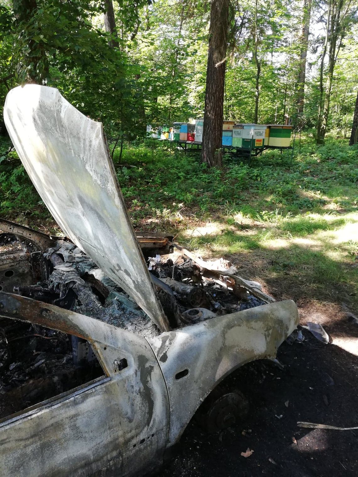 Podpalili auto w środku lasu