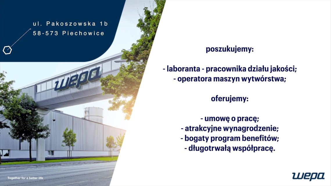Poszukiwany: laborant - pracownik działu jakości oraz operator maszyn wytwórstwa Poszukiwany: laborant - pracownik działu jakości oraz operator maszyn wytwórstwa