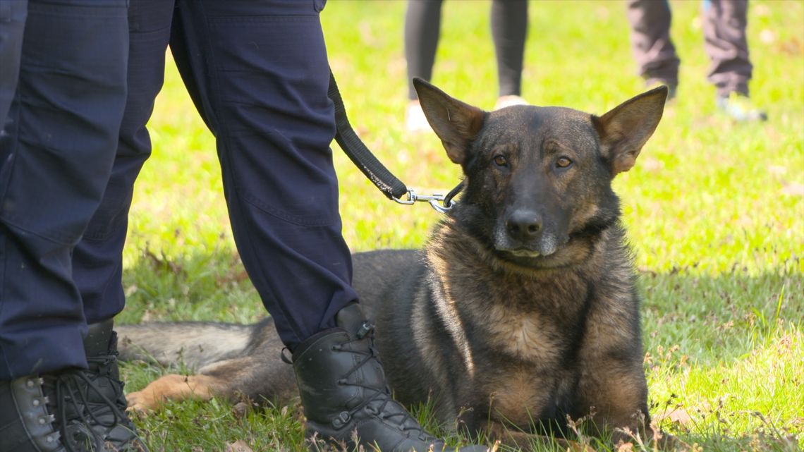 Psy służące w polskiej Policji