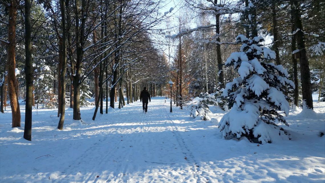 W arboretum można zabawić się w detektywów...