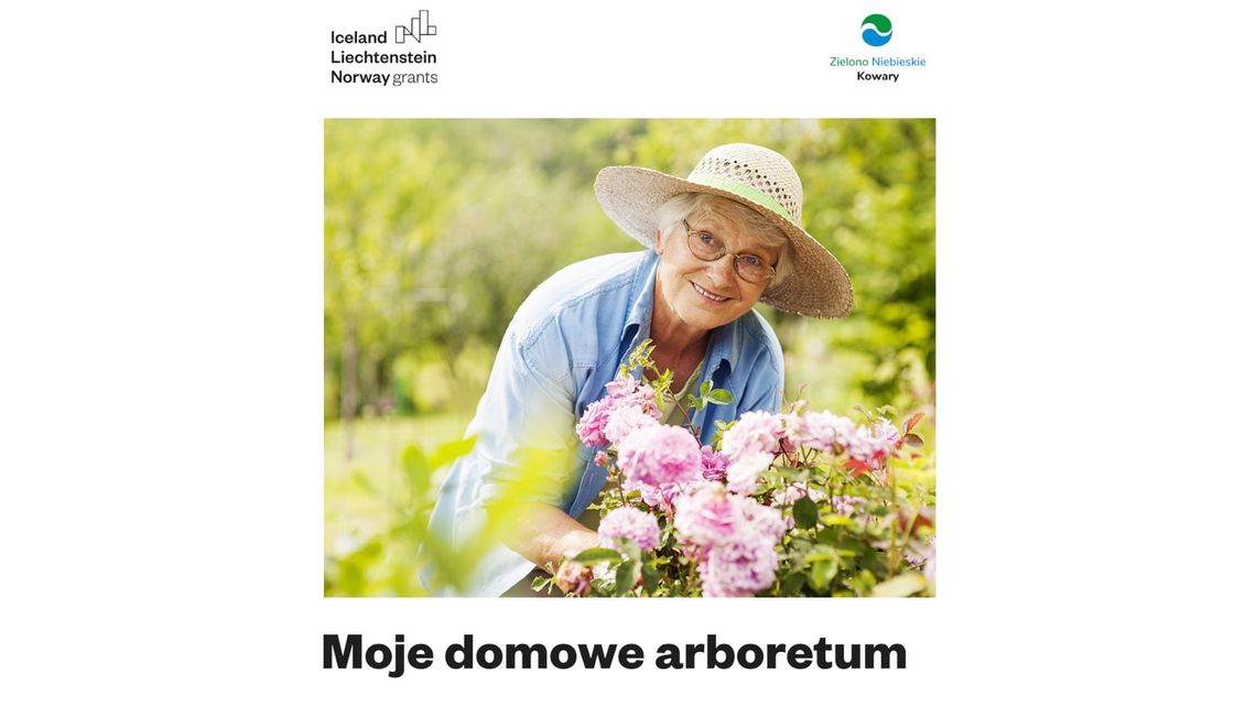 Zielono-niebieskie Kowary „MOJE DOMOWE ARBORETUM”