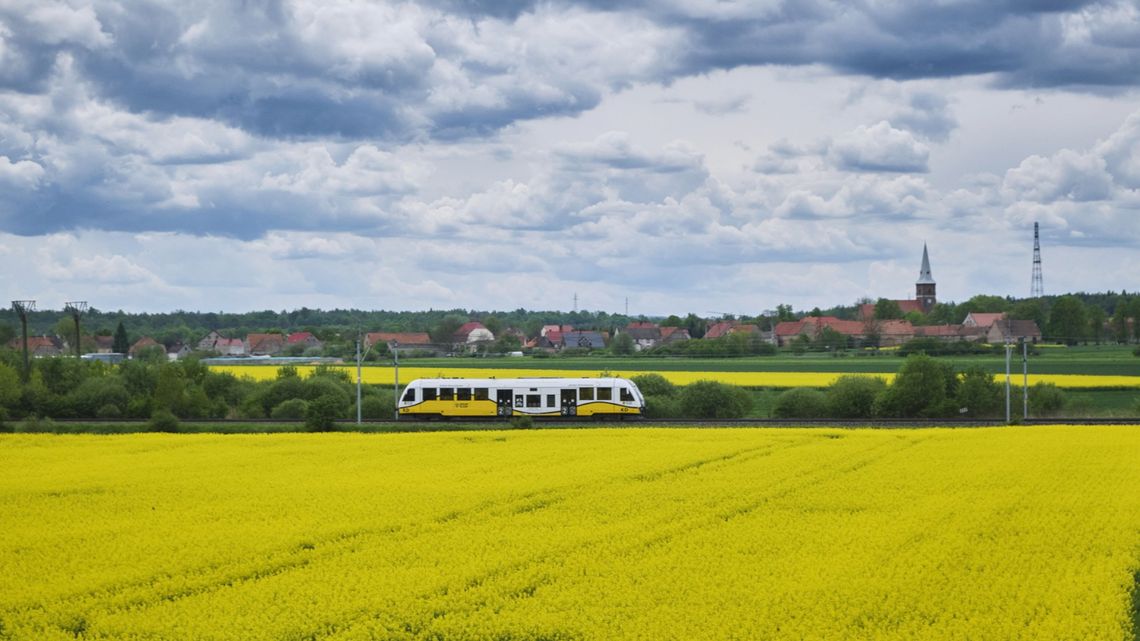 𝐙𝐦𝐢𝐚𝐧𝐲 w rozkładzie jazdy pociągów Kolei Dolnośląskich – na co zwrócić uwagę?